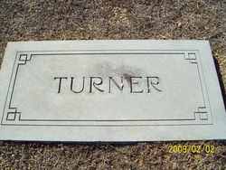 Robert William Turner 