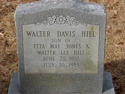 Walter Davis Hill 