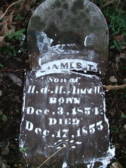 James T Ancell 