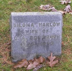 Siloma <I>Harlow</I> Bosworth 