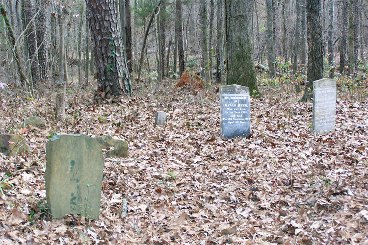 John Reed Family Cemetery