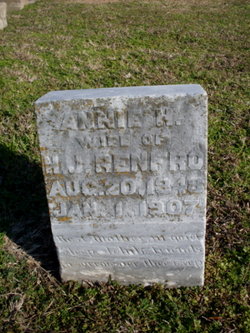 Annie H. “Fannie” <I>Sellers</I> Renfro 