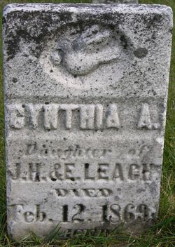 Cynthia A Leach 