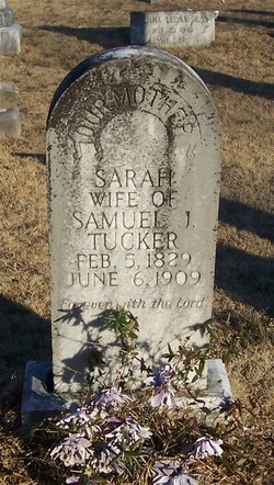 Sarah <I>Lovell</I> Tucker 