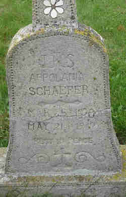 Appolania <I>Roeder</I> Schaefer 