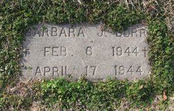 Barbara Jane Burr 