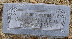 David Earl Bray 