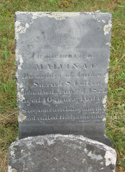 Malvina C Coffin 