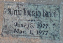 Martin Ephraim Barlow 