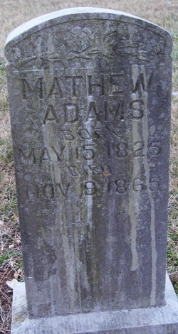 Mathew Adams 