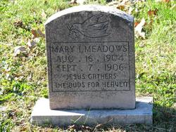 Mary I Meadows 