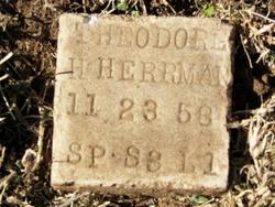 Theodore Henry “Ted” Herrmann 