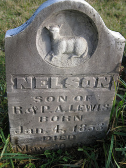 Nelson Lewis 
