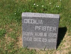 Cecilia Pfister 
