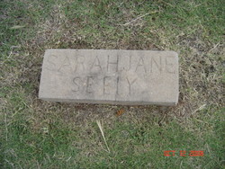 Sarah Jane “Janie” <I>Perry</I> Seely 