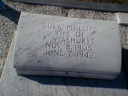 Sula <I>Phillips</I> Ashurst 