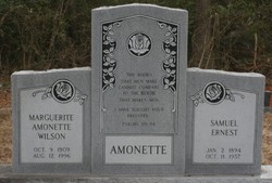 Samuel Ernest Amonette 