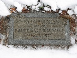 Baby Burgess 