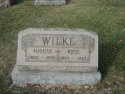Rose <I>Wubbeler</I> Wilke 