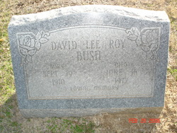 David Lee Roy Bush 