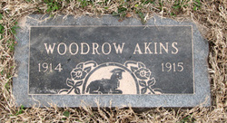 Joe Woodrow Akins 