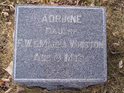 Adrinne L Whiston 