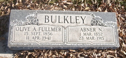 Olive Amanda <I>Fullmer</I> Bulkley 
