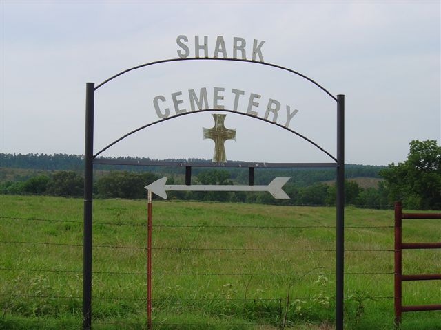 Shark Cemetery