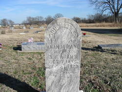 Amanda Jane <I>Spinks</I> Adams 
