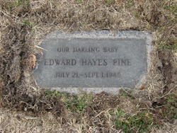 Edward Hayes Pine 