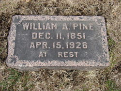William Allen Pine 