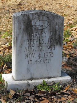 Harvey D Reeves Jr.