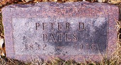Peter D Bates 