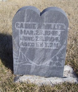 Carrie A. Miller 