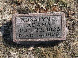 Rosalyn J. Adams 