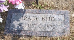 Tracy Bird 