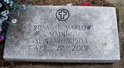 Rosa Orpha <I>Marlow</I> Mading 