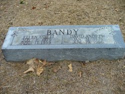 David Andrew Bandy 