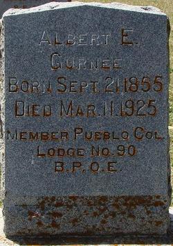 Albert E. Gurnee 
