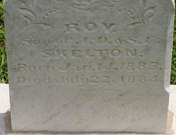 Roy Skelton 