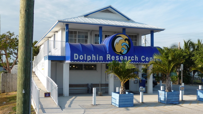 Dolphin Research Institute And Center