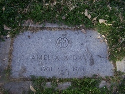 Amelia Ann <I>Schlecht</I> Davis 