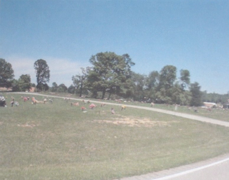 Cessna Cemetery