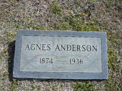 Sarah Agnes <I>King</I> Anderson 