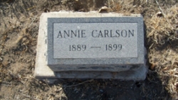 Annie Carlson 