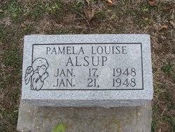 Pamela Louise Alsup 