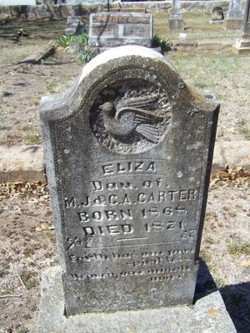 Eliza Carter 