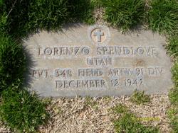 Lorenzo Spendlove Jr.