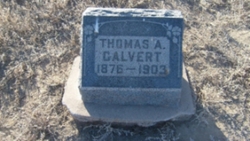 Thomas A Calvert 