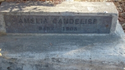 Amelia Candelise 